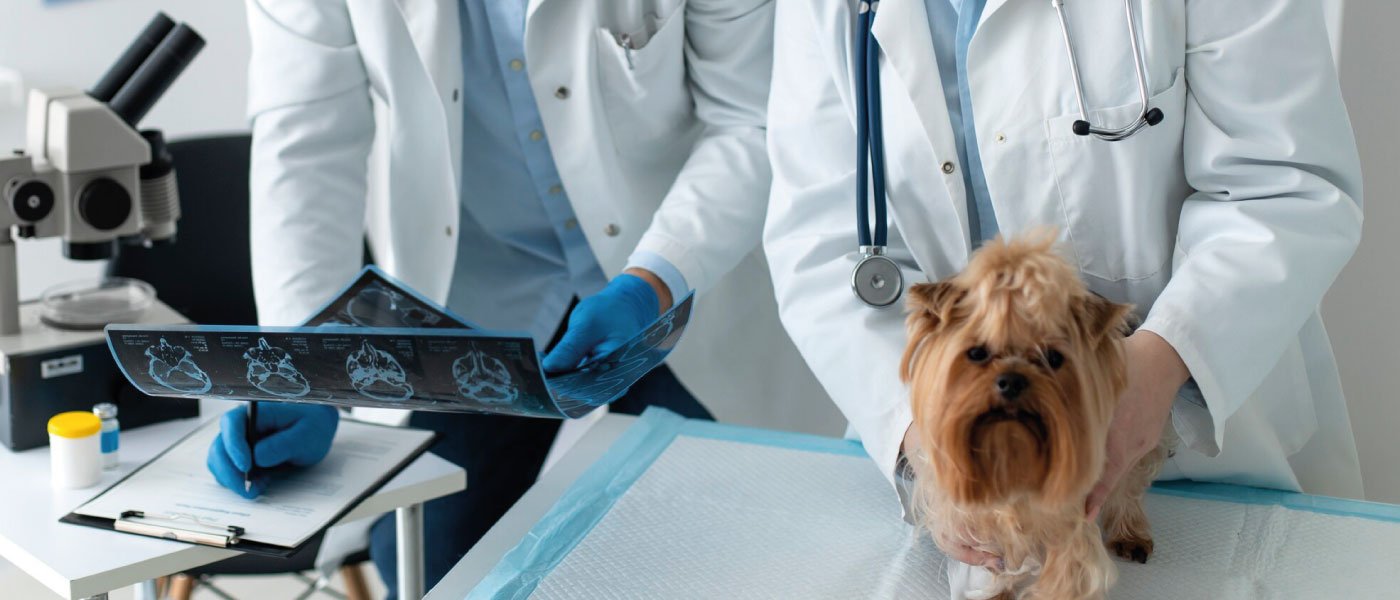 Imagenologia veterinaria